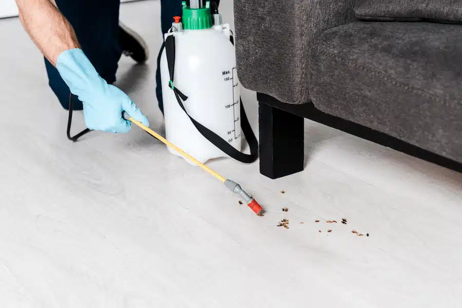 cockroach pest control salt lake