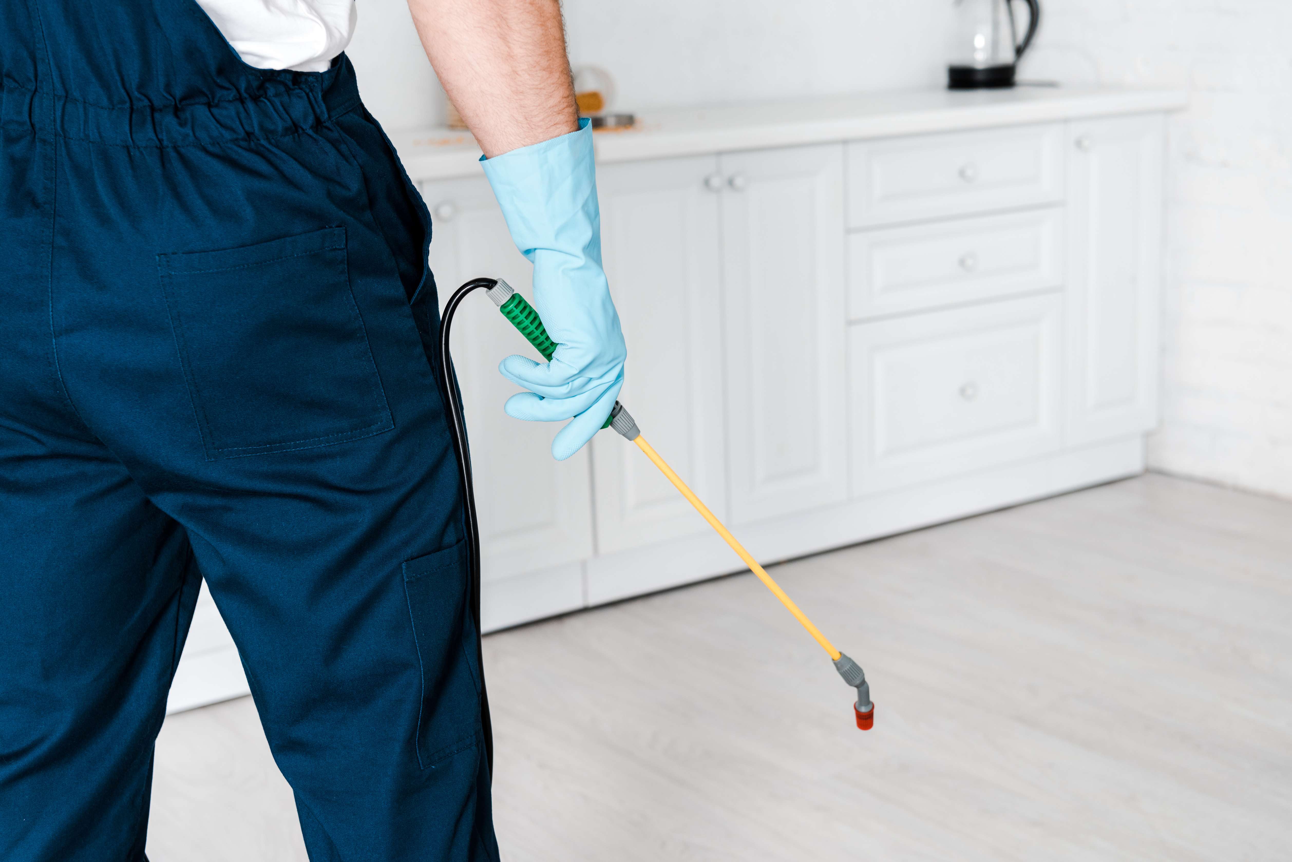 residential pest control exterminator salt lake city utah