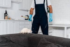 how much pest control in salt lake city